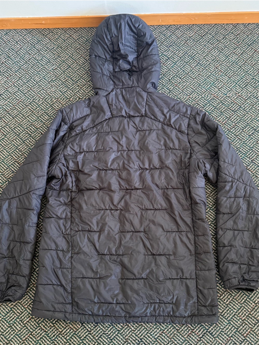 Patagonia Puffy - Picture 8 of 9